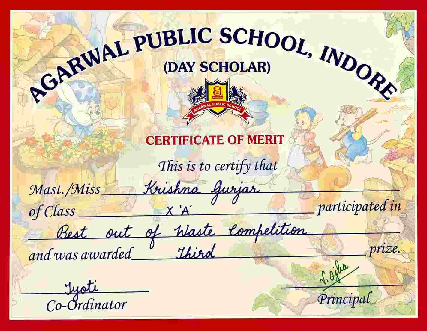 Certificate — Best out of Waste competition, Third prize, Class 10